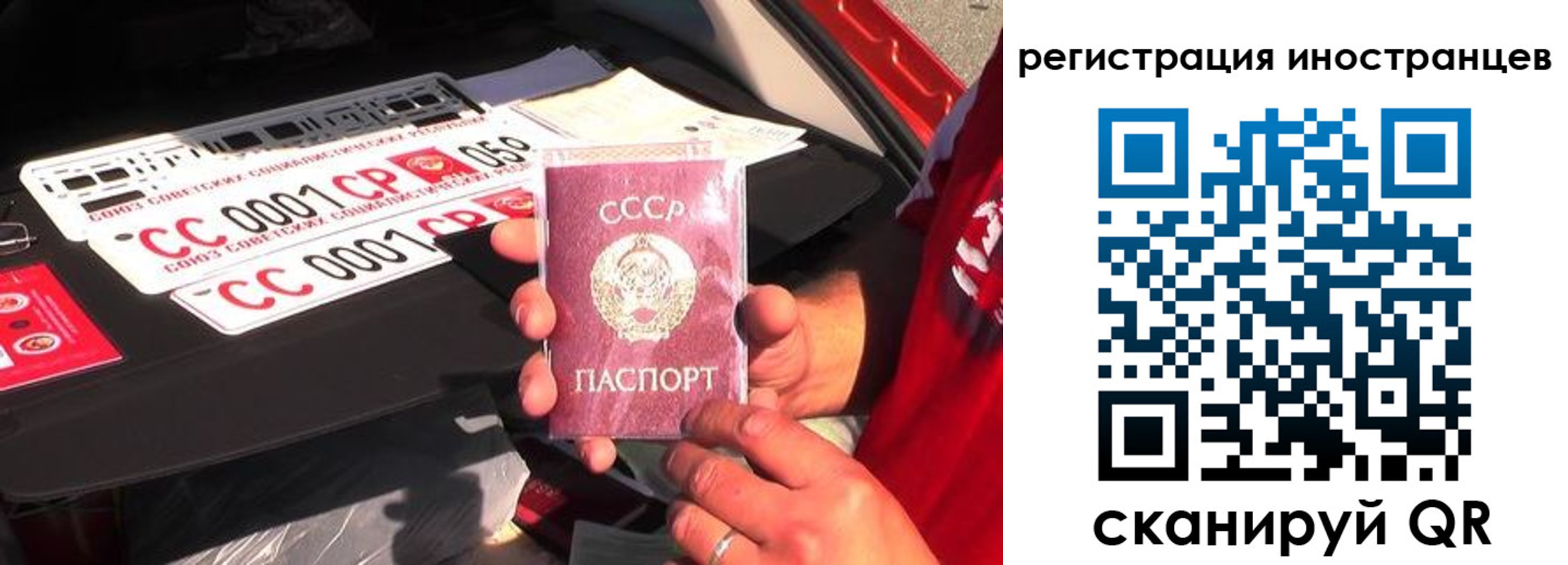 прописка гарантия в Димитровграде